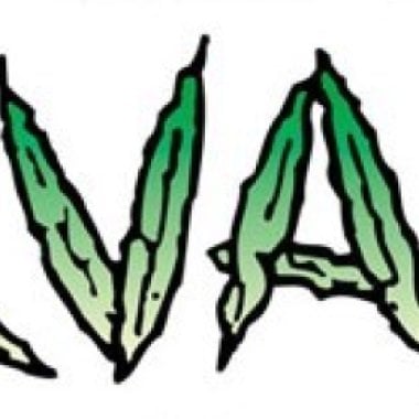 Nirvana Cannabis Seeds Amnesia