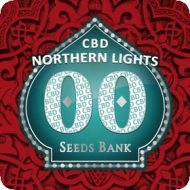 Oo Cannabis Seeds Northern Lights Cbd
