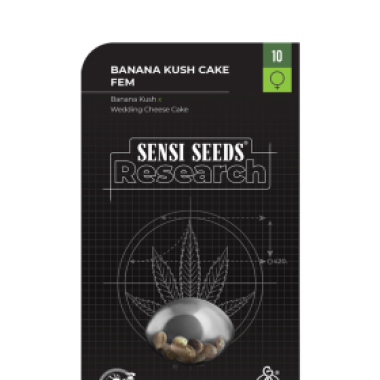 Sensi Research Cannabis Seeds Banana Kush Cake