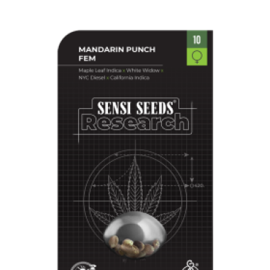 Sensi Research Cannabis Seeds Mandarine Punch