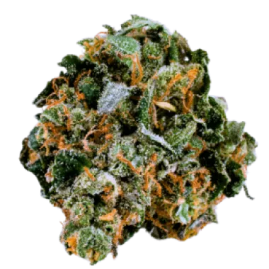 Terp  Farmz  Cannabis  Seeds  Original  Cheerioz