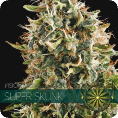 Vision Cannabis Seeds Super Skunk
