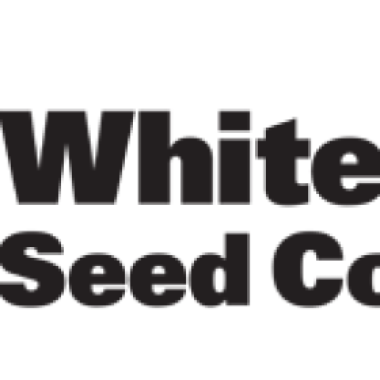 White Label Cannabis Seeds Afghan Kush