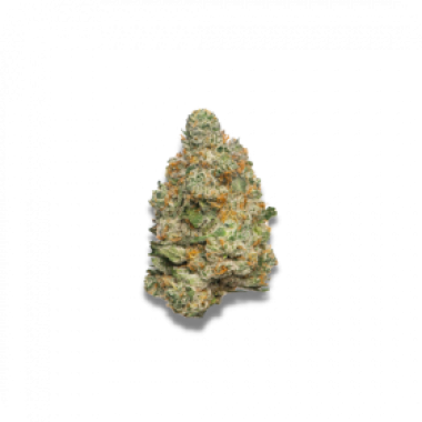 Apple  Fritter  Auto  Flowering  Cannabis  Seeds 0