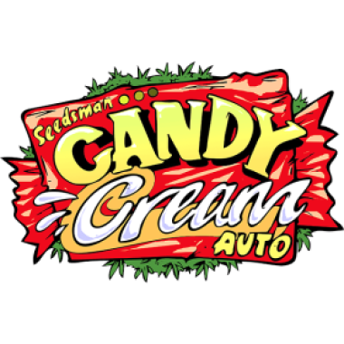 Candy Cream Auto Feminised Cannabis Seeds