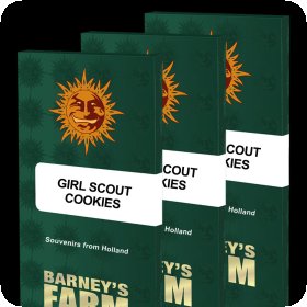 Graphics 20  20 Girl 20 Scout 20 Cookies 20  20 Packs 0
