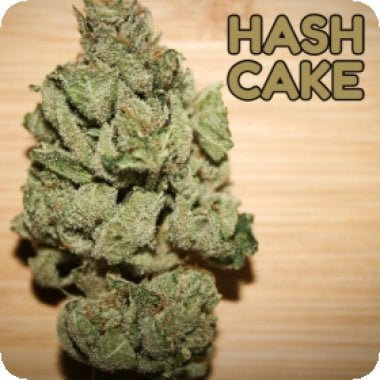 Hash 20 Cake 20 Feminised