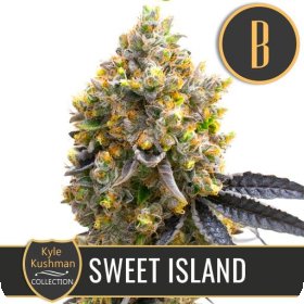 Kyle  Kushmans  Sweet  Island  Feminised  Cannabis  Seeds