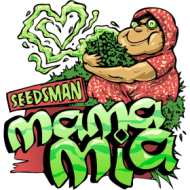 Mama  Mia  Auto  Feminised  Cannabis  Seeds