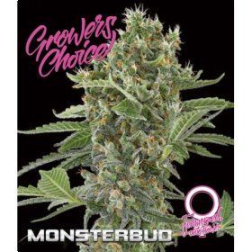 Monsterbud  Auto  Flowering  Cannabis  Seeds