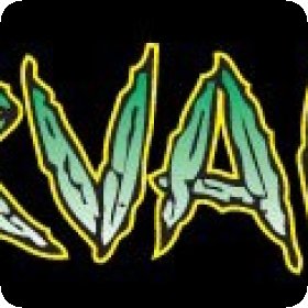 Nirvana Cannabis  Seeds  Logo