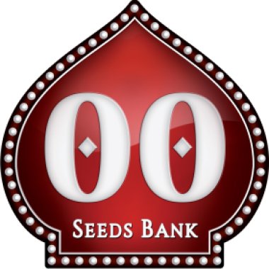 O O  Cannabis  Seeds  Logo 2