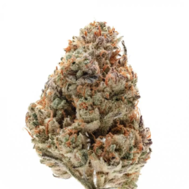 Octane  Fire  O G  Feminised  Cannabis  Seeds 0