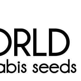 R E G  Collection  Regular  Cannabis  Seeds