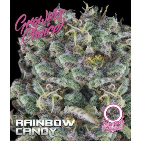 Rainbow  Candy  Auto  Flowering  Cannabis  Seeds 0