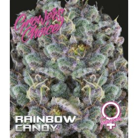 Rainbow  Candy  Feminised  Cannabis  Seeds 0