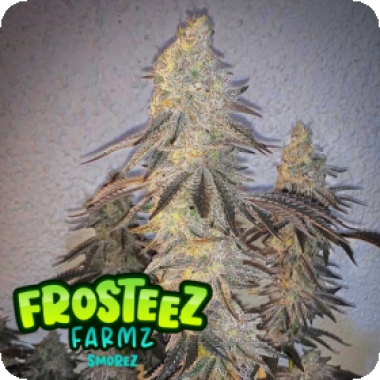 Smorez  Feminised  Cannabis  Seeds