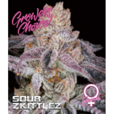 Sour  Zkittlez  Feminised  Cannabis  Seeds 0