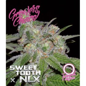 Sweet  Tooth  X  N L X  Auto  Flowering  Cannabis  Seeds 0