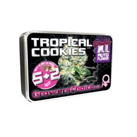 Tropical  Cookies  Double  X L  Auto  Flowering  Cannabis  Seeds 0