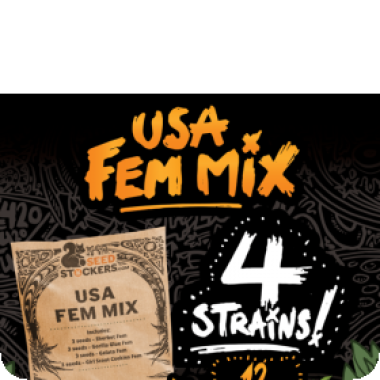 U S A  Feminised  Cannabis  Seeds  Mix 0