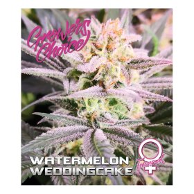 Watermelon  Wedding  Cake  Feminised  Cannabis  Seeds 0