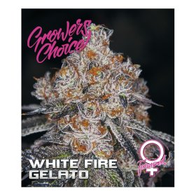 White  Fire  Gelato  Feminised  Cannabis  Seeds 0