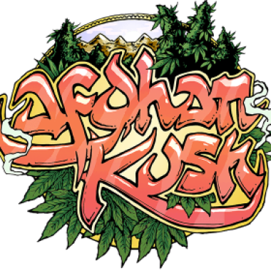 Afghan  Kush  Feminised  Cannabis  Seeds  Cannabis  Seedsman 0