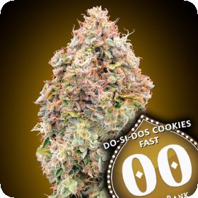 Do  Si  Dos  Cookies  Fast   5  U  Fem 00  Cannabis  Seeds  P1 0