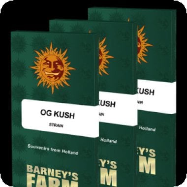 Og  Kush  Feminised  Cannabis  Seeds