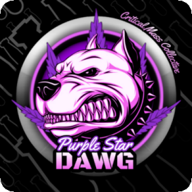 Purple Star Dawg Feminised Cannabis Seeds