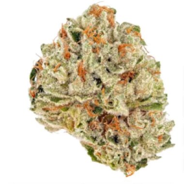 Socrates  Sour 6