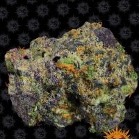 Barneys  Farm  Cannabis  Seeds  Runtz  Muffin