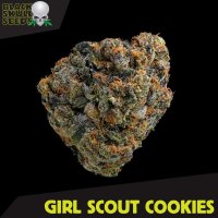 Black  Skull  Cannabis  Seeds  Girl  Scout  Cookies