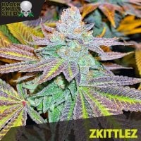Black  Skull  Cannabis  Seeds  Zkittlez