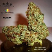 Bsbs  Cali  Connection  Cannabis  Seeds  Cali  Connection  Cali  Sfv  Og