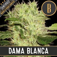 Damablanca