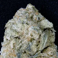 Don  Avalanche  Cannabis  Seeds  Don  Og  Kush