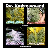 Dr  Underground  Cannabis  Seeds  Surprise  Killer  Mix