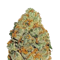 Fast Buds Cannabis Seeds Lemon Mandarin