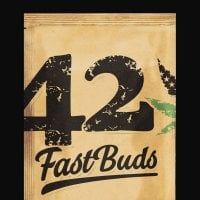 Fast  Buds  Cannabis  Seeds  Original  Auto  Skunk