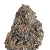Fast Buds Cannabis Seeds Papayton