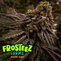 Frosteez  Farmz  Cannabis  Seeds  Butter  Cupz