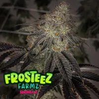 Frosteez  Farmz  Cannabis  Seeds  Sprinklez