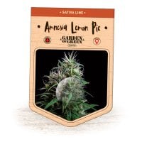 Garden  Of  Green  Cannabis  Seeds  Amnesia  Lemon  Pie