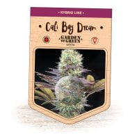 Garden  Of  Green  Cannabis  Seeds  Cali  Bay  Dream