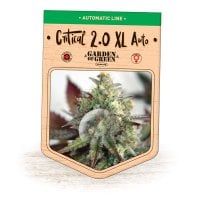 Garden  Of  Green  Cannabis  Seeds  Critical 2 0  Xl  Auto