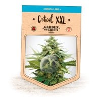 Garden  Of  Green  Cannabis  Seeds  Critical  Xxl