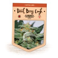 Garden  Of  Green  Cannabis  Seeds  Diesel  Berry  Cough