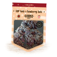 Garden  Of  Green  Cannabis  Seeds  Gdp  Auto  X  Gumberry  Auto